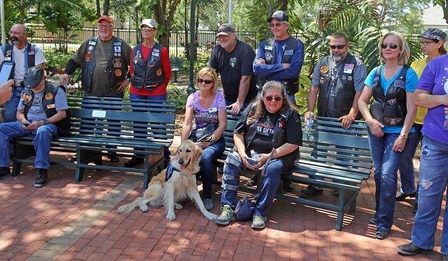 1PAWS-LR-46