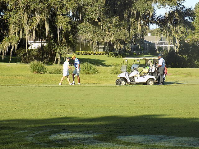 Paws for Patriots 10-10-2016 (52)