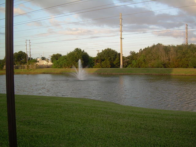 aae