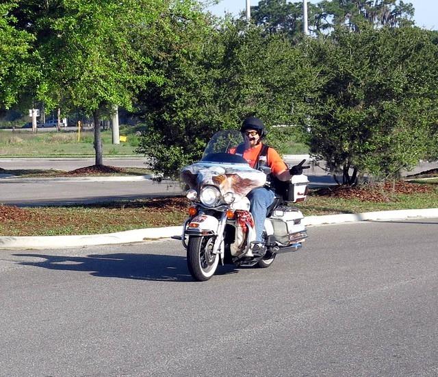 Ride 4-05-14 CountryPancakeHouse TH012