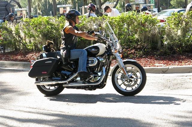 Ride Obrians-Brandom 8-09-14 TH025