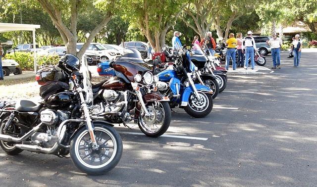 Ride P4P Palmetto-8-30-14 TH028