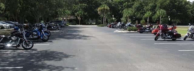 Ride P4P Palmetto-8-30-14 TH042