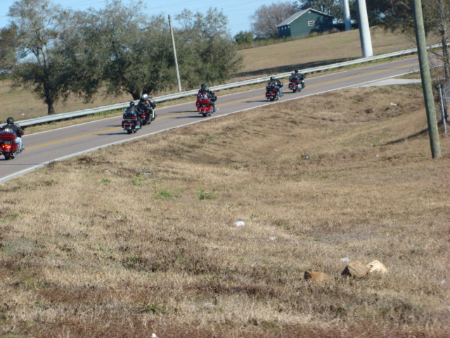 Buffalo Wild Wings Clermont Jan 19 2014 (23)