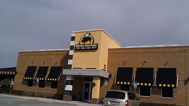 WildWings4