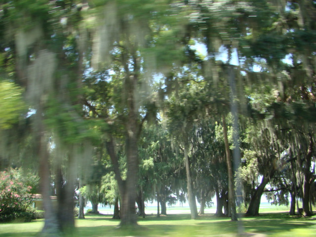 Catfish Place 07-19-2014 (54)