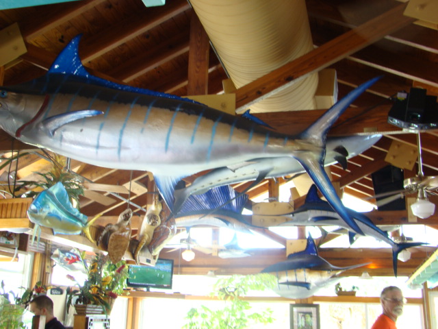 Billy's Stone Crab & Lobster 06-21-2014 (96)