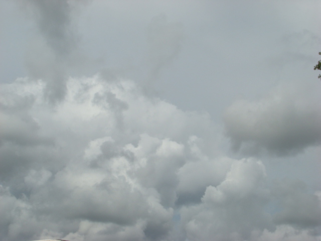 Webster Swap Meet 06-01-2014 (54)