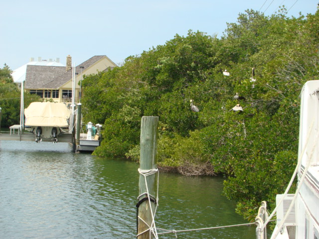 Casey Key Fish House 03-23-2014 (49)