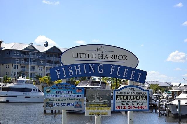 Ride 12-20-15 LittleHarbor-Ruskin TH (14)