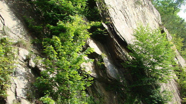 Helen - Tail of the Dragon 06-05-2015 (49)