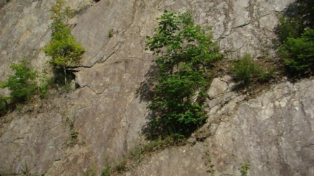 Helen - Tail of the Dragon 06-05-2015 (50)