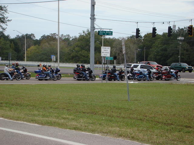 Cedar Key 11-21-2015 es (14)