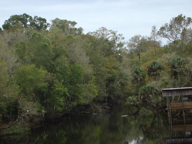 Cedar Key 11-21-2015 es (18)