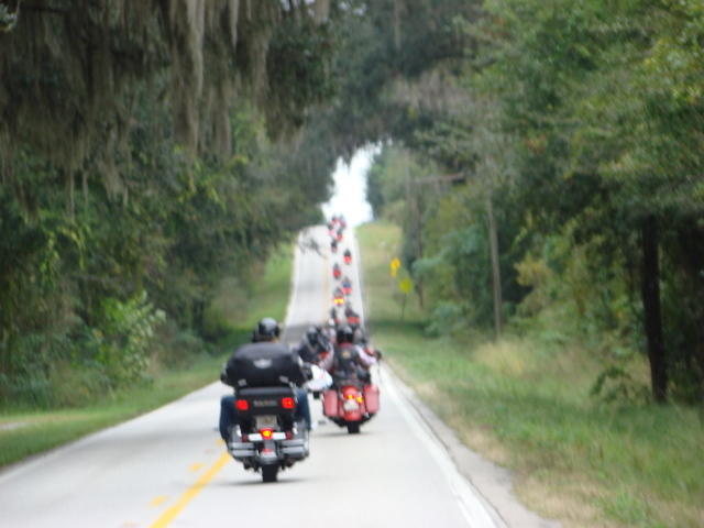 Cedar Key 11-21-2015 es (19)