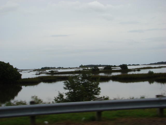 Cedar Key 11-21-2015 es (25)