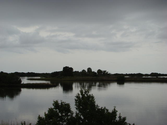 Cedar Key 11-21-2015 es (26)