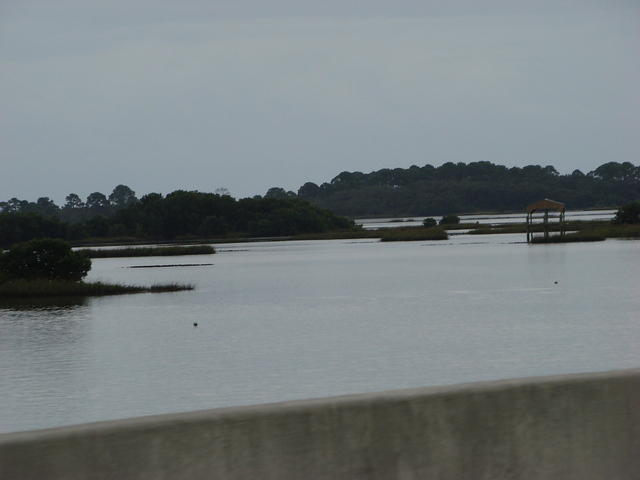 Cedar Key 11-21-2015 es (27)