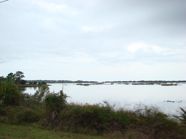 Cedar Key 11-21-2015 es (29)