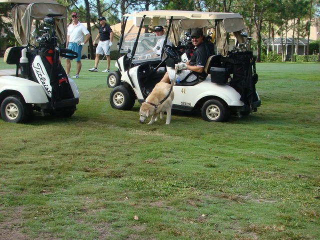 Paws for Patriots 10-12-2015 (64)