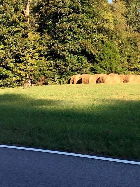 Ride 9-16-15 NachezTrace (5)