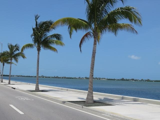 Christine - Key West 04-21-2016 (18)