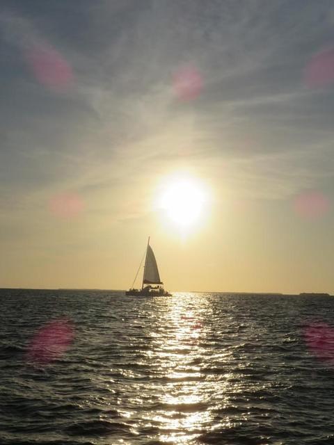 Christine - Key West 04-21-2016 (28)