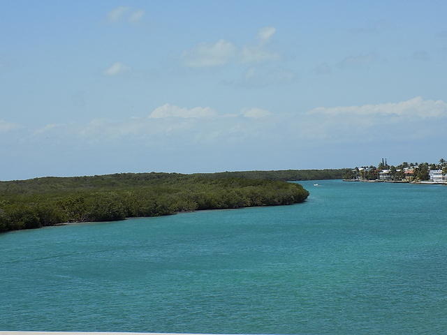 Key West 04-21-2016 (12)