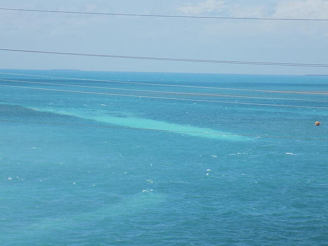 Key West 04-21-2016 (16)