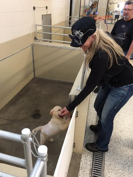 Mark - Southeastern Guide Dogs - 08-27-2016 (16)
