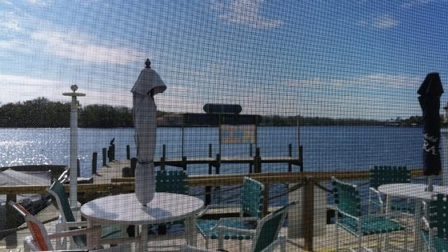 Debbie - Sea Grass - Homosassa 12-11-2016 (33)