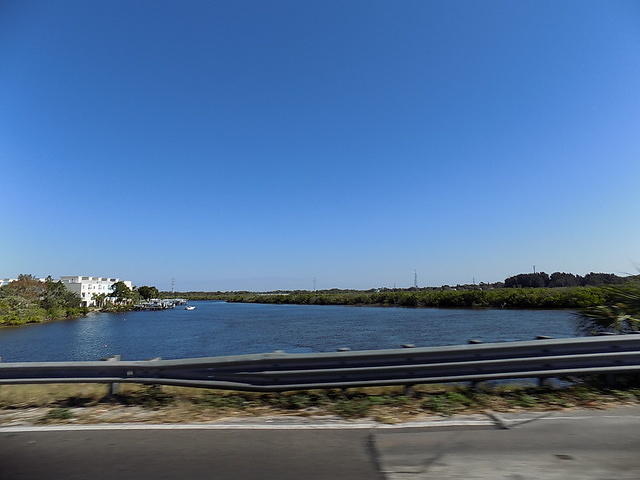 Tarpon Turtle -12-04-2016 (18)