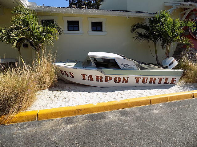 Tarpon Turtle -12-04-2016 (24)