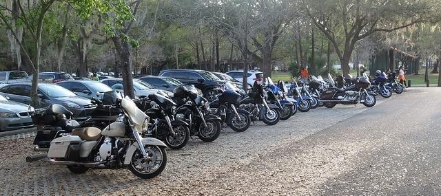 Tom - Al Lopez Park 2016 MS Walk 03-19-2016 (18)