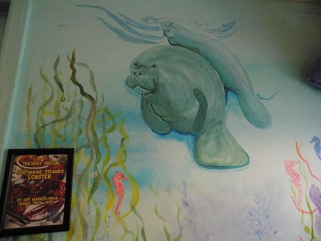 Edi - Anna Maria Oyster Bar 08-06-2017 (38)