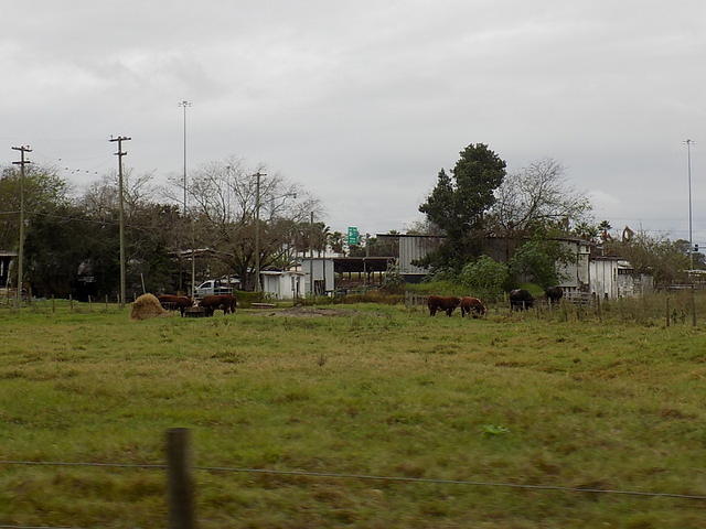 Edi - Lens Inaugural - Qdoba - 2017-12-09 (28)