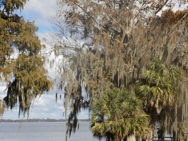 St Augustine 01-14-2017 (48)