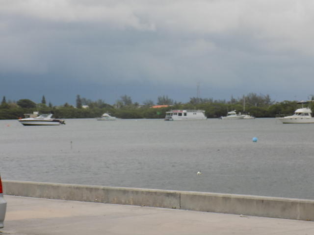 Key West 05-05-2017 (26)