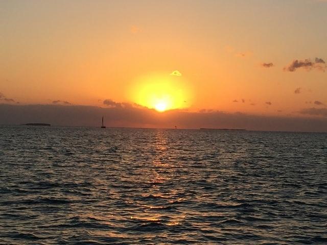 Rosemary - Key West 05-04-2017 (39)