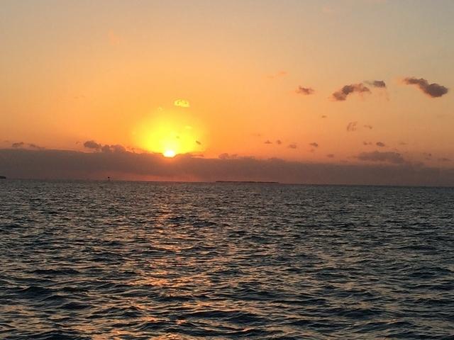 Rosemary - Key West 05-04-2017 (40)