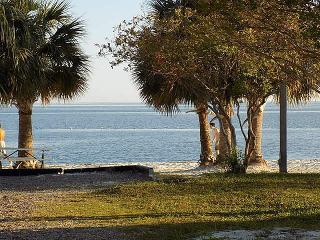 Edi - Cedar Key 2017-11-17 (100)