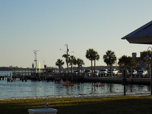 Edi - Cedar Key 2017-11-17 (101)