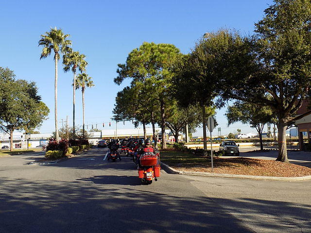 Edi - Cedar Key 2017-11-17 (18)