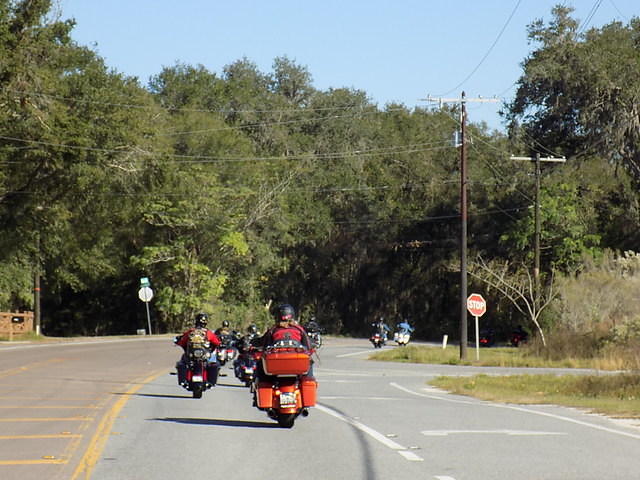 Edi - Cedar Key 2017-11-17 (24)