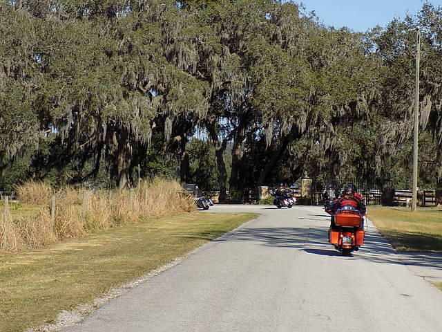 Edi - Cedar Key 2017-11-17 (33)