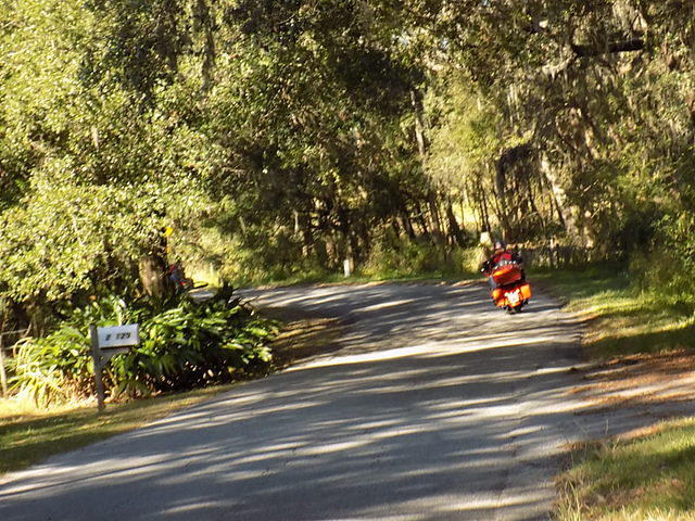 Edi - Cedar Key 2017-11-17 (35)