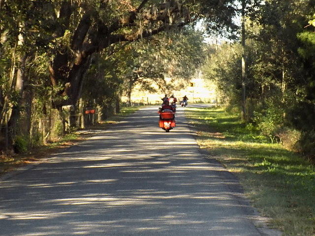 Edi - Cedar Key 2017-11-17 (36)