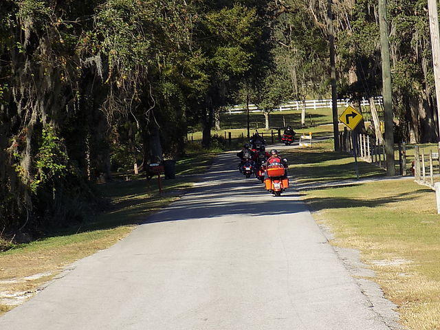 Edi - Cedar Key 2017-11-17 (38)