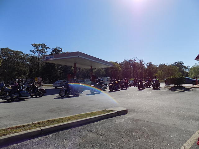 Edi - Cedar Key 2017-11-17 (39)
