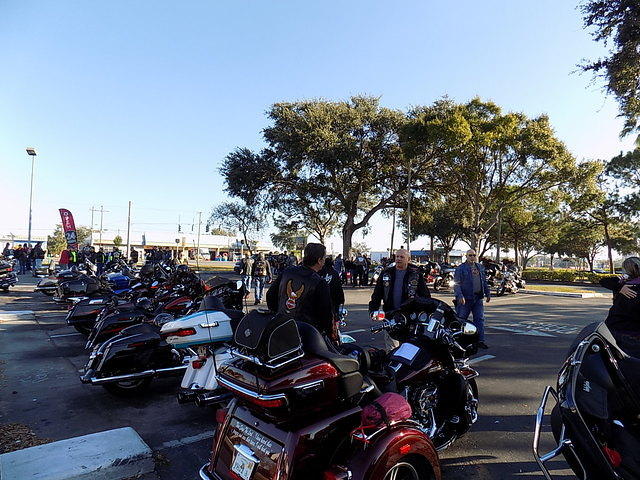 Edi - Cedar Key 2017-11-17 (4)